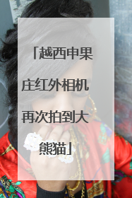 越西申果庄红外相机再次拍到大熊猫