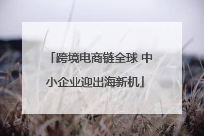 跨境电商链全球 中小企业迎出海新机