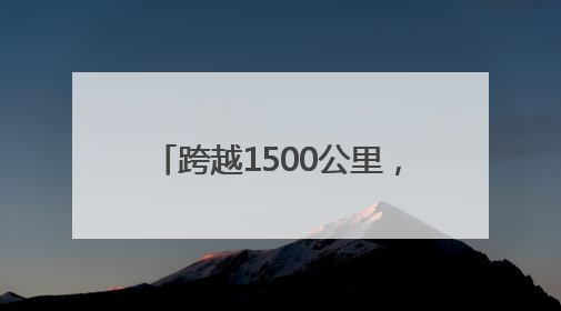 跨越1500公里，奥森龙形水系迎来湖南益阳双桡龙舟表