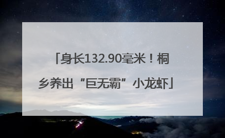 身长132.90毫米！桐乡养出“巨无霸”小龙虾