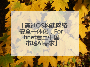 通过OS构建网络安全一体化，Fortinet看重中国市场AI需求