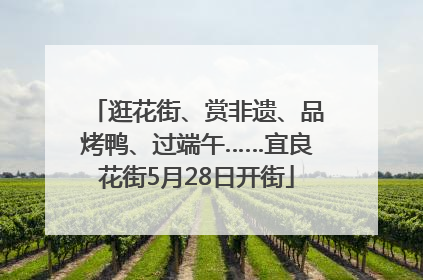 逛花街、赏非遗、品烤鸭、过端午……宜良花街5月28日开街