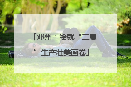 邓州：绘就“三夏”生产壮美画卷