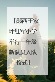 郧西王家坪红军小学举行一年级新队员入队仪式