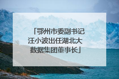 鄂州市委副书记汪小波出任湖北大数据集团董事长
