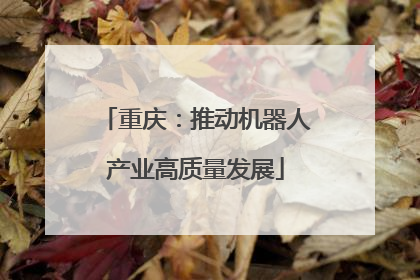 重庆：推动机器人产业高质量发展