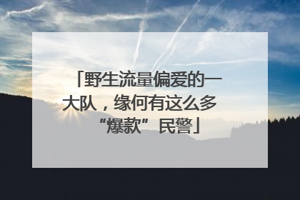 野生流量偏爱的一大队，缘何有这么多“爆款”民警