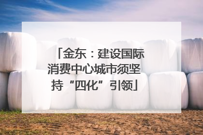 金东：建设国际消费中心城市须坚持“四化”引领