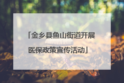 金乡县鱼山街道开展医保政策宣传活动