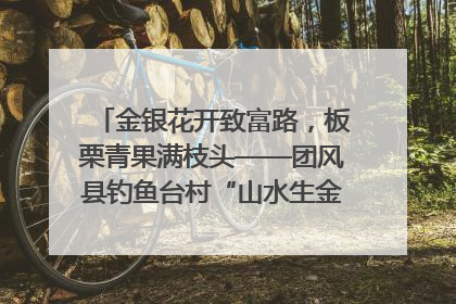 金银花开致富路，板栗青果满枝头——团风县钓鱼台村“山水生金”谱写共富新篇章