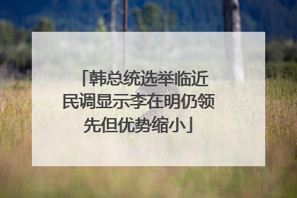 韩总统选举临近 民调显示李在明仍领先但优势缩小