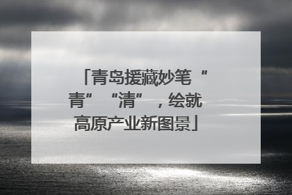 青岛援藏妙笔“青”“清”，绘就高原产业新图景