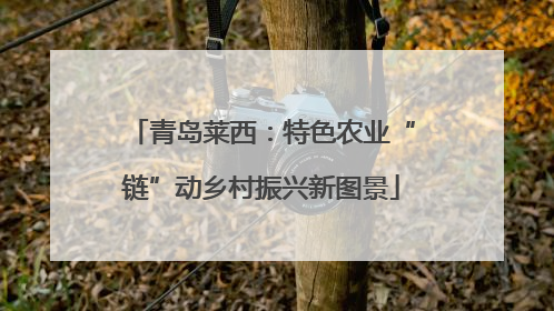 青岛莱西：特色农业“链”动乡村振兴新图景