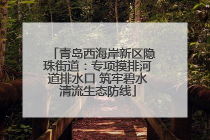青岛西海岸新区隐珠街道：专项摸排河道排水口 筑牢碧水清流生态防线