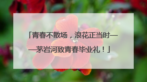 青春不散场，浪花正当时——茅岩河致青春毕业礼！