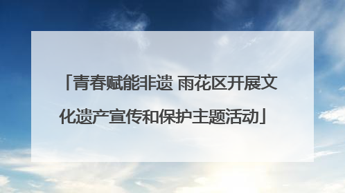 青春赋能非遗 雨花区开展文化遗产宣传和保护主题活动
