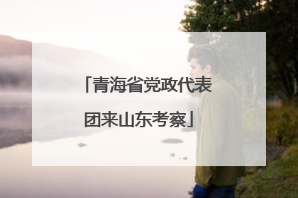 青海省党政代表团来山东考察