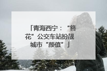 青海西宁：“簪花”公交车站扮靓城市“颜值”