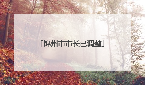 锦州市市长已调整