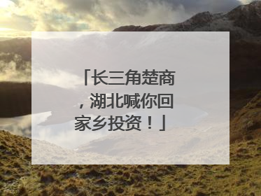 长三角楚商，湖北喊你回家乡投资！