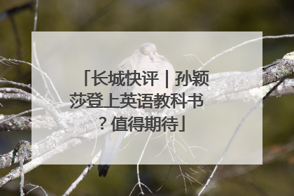 长城快评｜孙颖莎登上英语教科书？值得期待