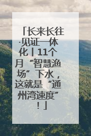 长来长往·见证一体化丨11个月“智慧渔场”下水，这就是“通州湾速度”！
