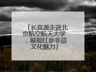 长森源走进北京航空航天大学，展现红参非遗文化魅力