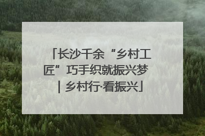 长沙千余“乡村工匠”巧手织就振兴梦｜乡村行·看振兴