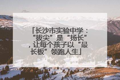 长沙市实验中学：“拔尖”是“扬长”，让每个孩子以“最长板”领跑人生