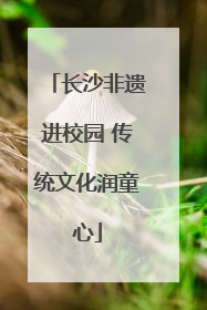 长沙非遗进校园 传统文化润童心