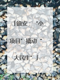 镇安：“小项目”撬动“大民生”