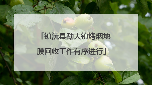 镇沅县勐大镇烤烟地膜回收工作有序进行