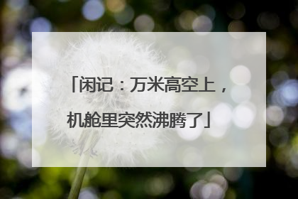 闲记：万米高空上，机舱里突然沸腾了