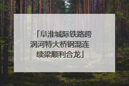 阜淮城际铁路跨涡河特大桥钢混连续梁顺利合龙