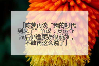 陈梦再谈“我的时代到来了”争议：奥运夺冠后仍遭质疑很煎熬，不敢再这么说了