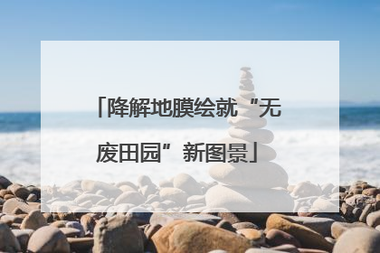 降解地膜绘就“无废田园”新图景