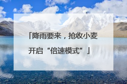 降雨要来，抢收小麦开启“倍速模式”
