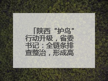 陕西“护鸟”行动升级，省委书记：全链条排查整治，形成高压震慑态势