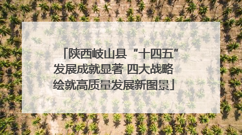 陕西岐山县“十四五”发展成就显著 四大战略绘就高质量发展新图景