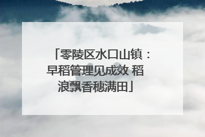 零陵区水口山镇：早稻管理见成效 稻浪飘香穗满田