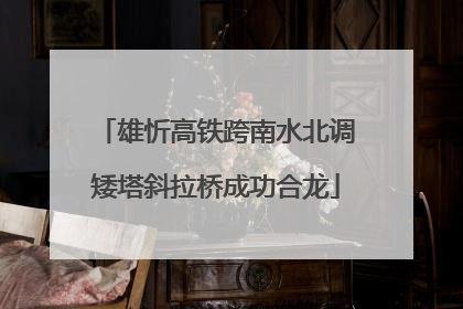 雄忻高铁跨南水北调矮塔斜拉桥成功合龙