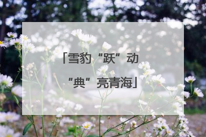 雪豹“跃”动 “典”亮青海