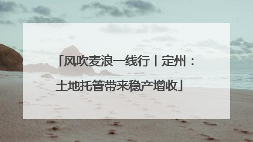 风吹麦浪一线行丨定州：土地托管带来稳产增收