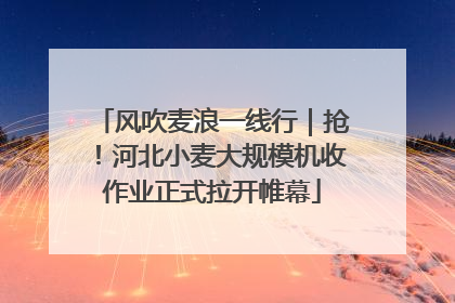 风吹麦浪一线行｜抢！河北小麦大规模机收作业正式拉开帷幕