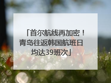 首尔航线再加密！青岛往返韩国航班日均达39班次