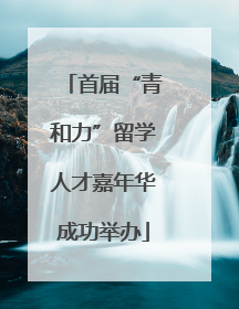 首届“青和力”留学人才嘉年华成功举办