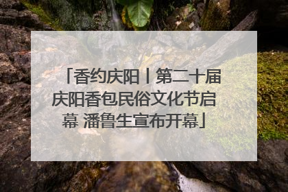 香约庆阳丨第二十届庆阳香包民俗文化节启幕 潘鲁生宣布开幕