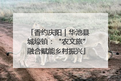 香约庆阳｜华池县城壕镇：“农文旅”融合赋能乡村振兴