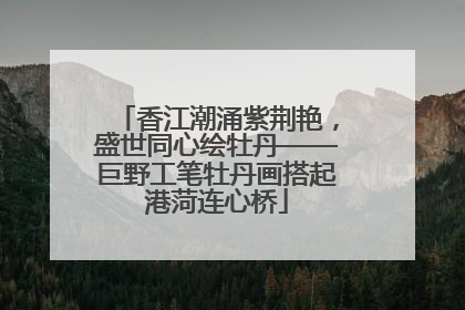 香江潮涌紫荆艳，盛世同心绘牡丹——巨野工笔牡丹画搭起港菏连心桥