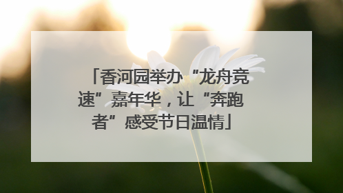 香河园举办“龙舟竞速”嘉年华，让“奔跑者”感受节日温情